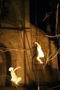 Le Reve d Erica 13 * 5184 x 3456 * (6.33MB)